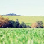 赏金大对决:如何在竞争中脱颖而出 004jp