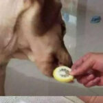 赏金女王的个人品牌:如何打造独特的职业形象 14g3ilx