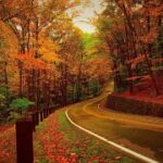 赏金大对决:每一次对决都是成长的机会 2w2dhkho5