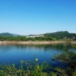 赏金大对决:揭开隐藏在游戏背后的秘密 5qyb9qj