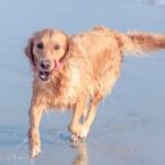 赏金大对决:如何保持冷静与专注 a06885