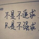 赏金女王app下载的功能解析与用户评价 ae5lu