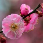 赏金大对决:让我们一起见证精彩瞬间! bz5rq