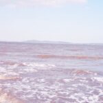 赏金大对决:成功与失败的关键因素 ts1190mwwb